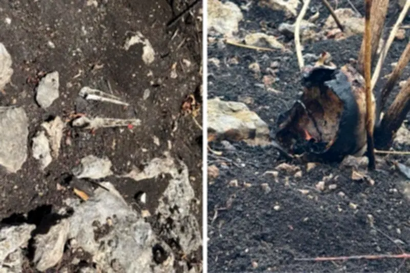 Hallan restos humanos en reserva federal de Chiapas; investigan procedencia