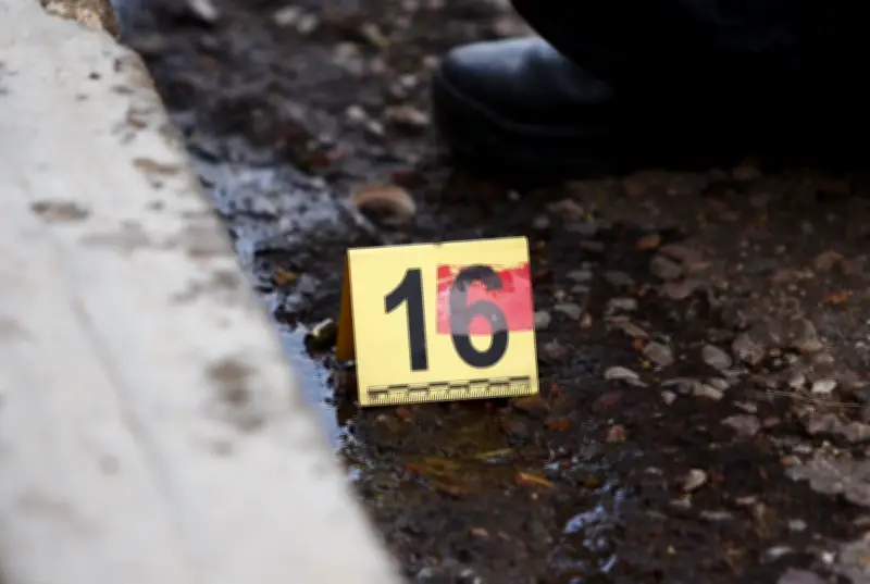 Hallan siete cuerpos mutilados en carretera de Guerrero; Fiscalía investiga masacre