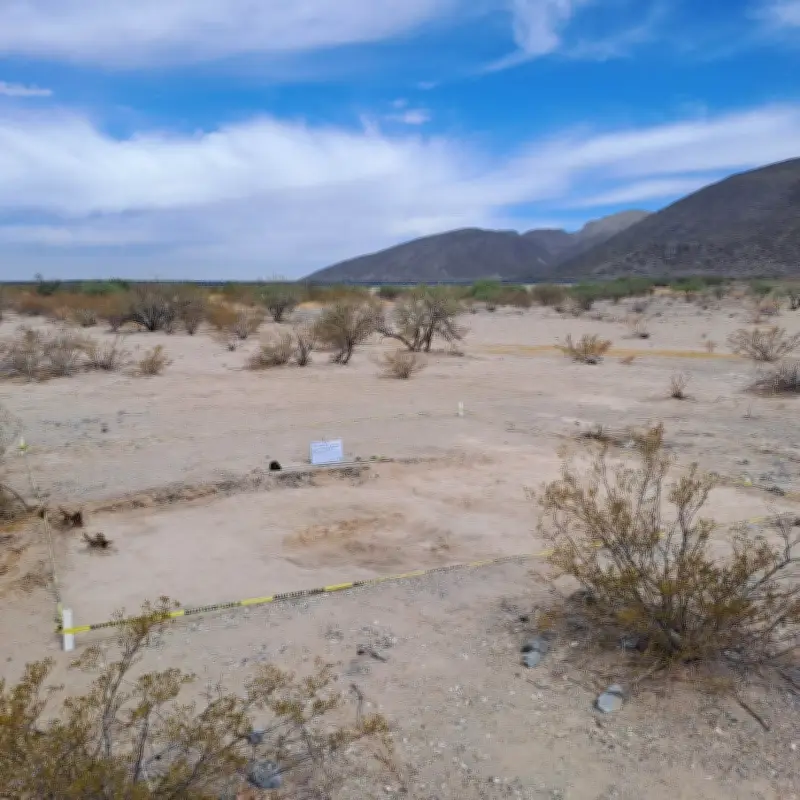 Identifican 169 restos humanos en Coahuila; solo 25 provienen de fosas clandestinas