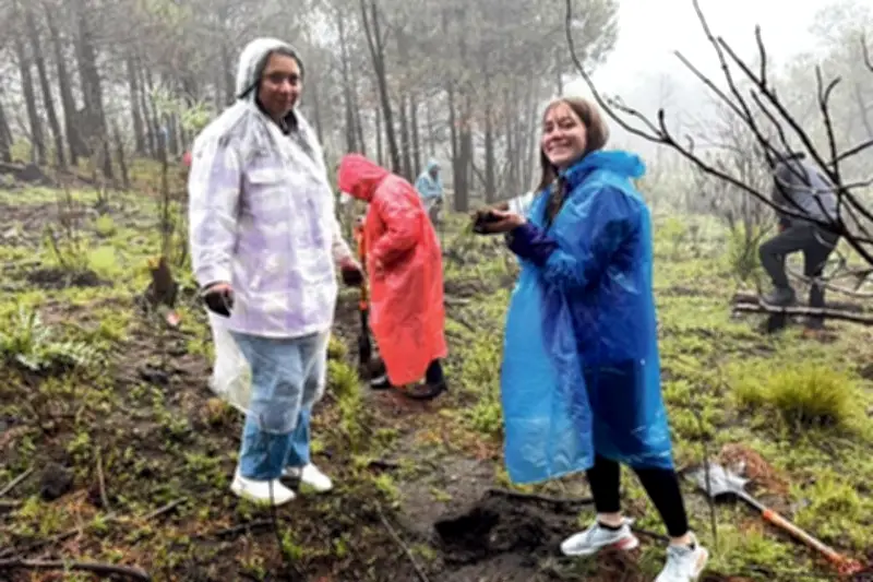 Igualdad que se vuelve práctica: un análisis en México