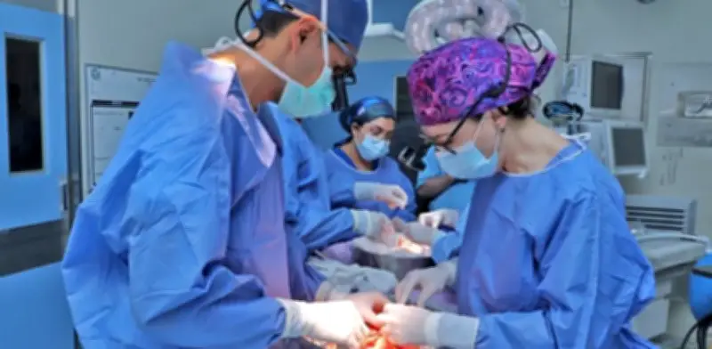 IMSS logra histórica procuración multiorgánica en Sonora, Hidalgo y Tlaxcala