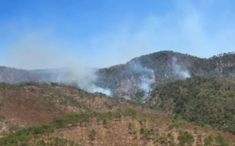 Incendio en Mascota, Jalisco: tres días activo con más de 100 brigadistas