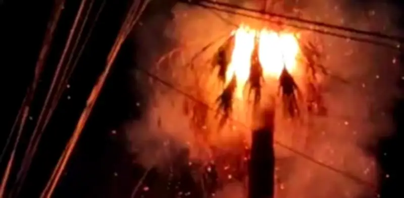 Incendio por pirotecnia arrasa palmera emblemática en Saltillo y causa daños materiales