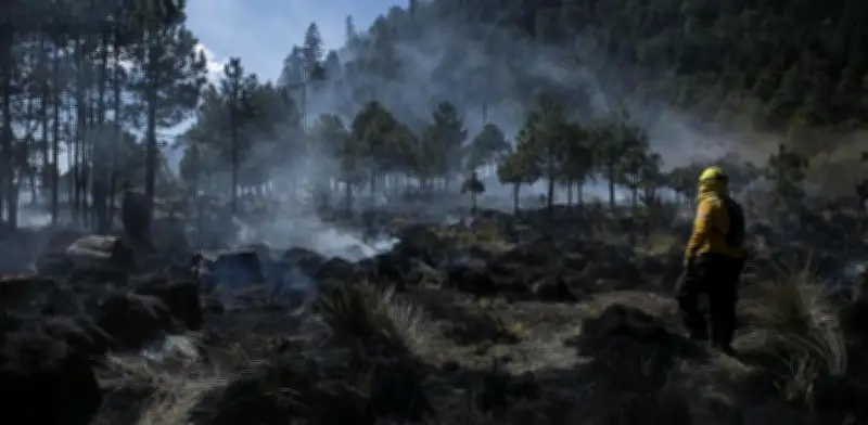 Incendios forestales y ozono: combinación letal para la salud en el Valle de México