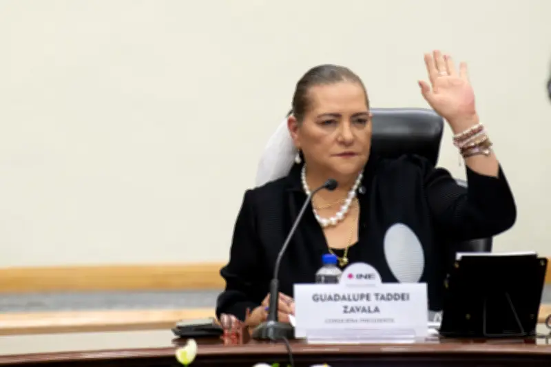 INE: Taddei consuma control de áreas clave con reforma de Morena