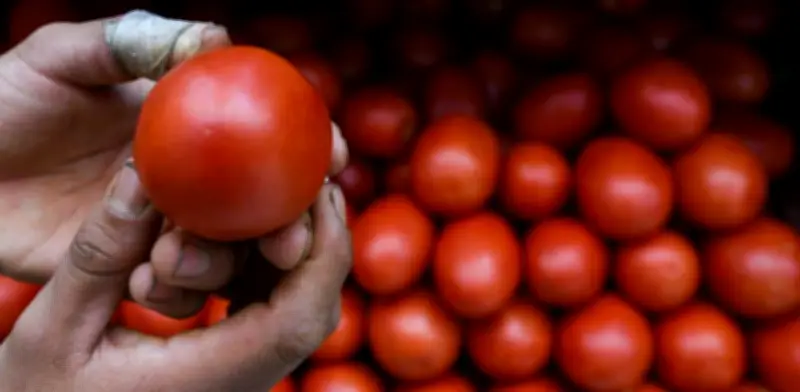 Inflación en México alcanza 4.59% en marzo de 2026, nivel más alto en 18 meses