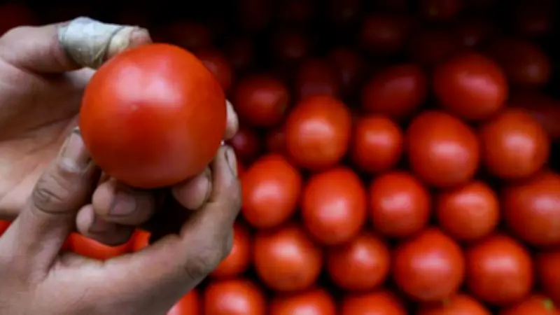 Inflación en México repunta a 4.63% anual con fuerte presión en alimentos como el jitomate