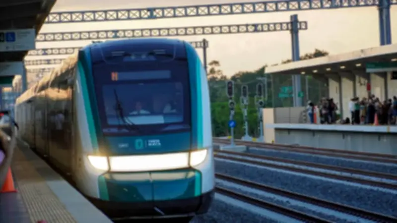 Ingeniero denuncia hundimiento de pilotes en el Tramo 5 del Tren Maya en zona kárstica