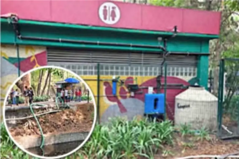 Instalan Colectores Pluviales en Baños de Chapultepec para Mejorar Infraestructura