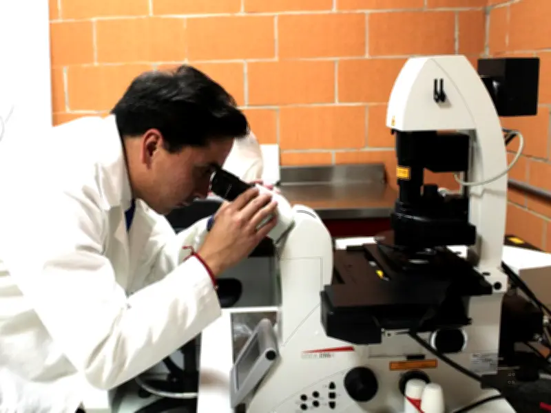 IPN desarrolla medicina personalizada para cáncer infantil y regeneración de tejidos con células madre