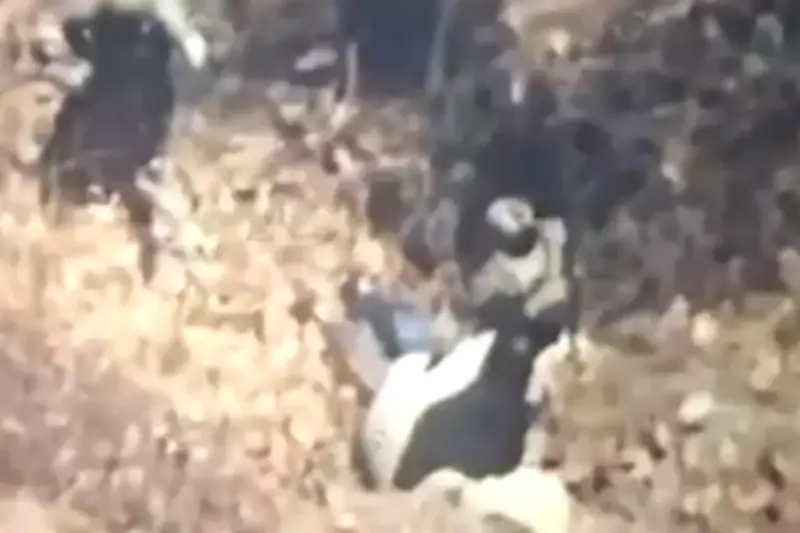 Jardinero se ocultó en desagüe para evitar captura policial