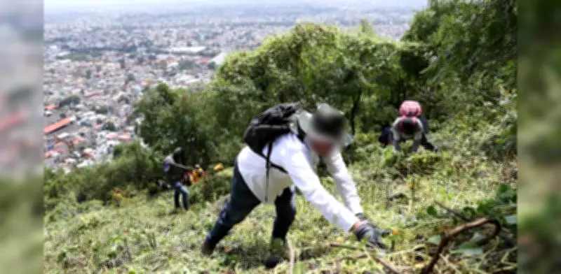 Jornadas de búsqueda en CDMX identifican restos de dos menores desaparecidos