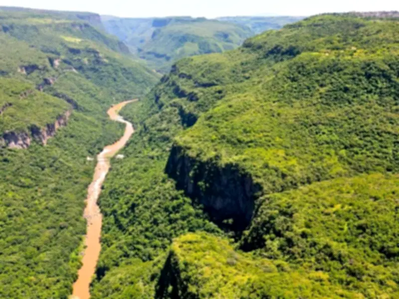 Joven extraviado en Barranca de Huentitán es rescatado gracias a Videollamada C5