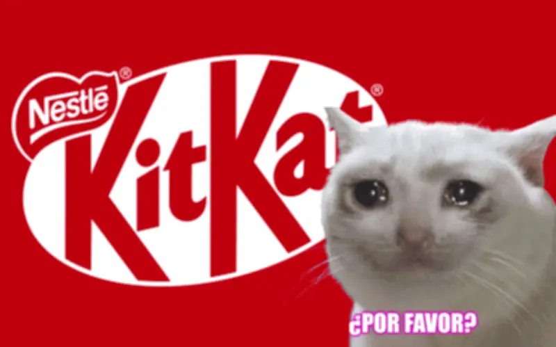 KitKat busca ayuda pública para localizar 12 toneladas de chocolate robado en Europa