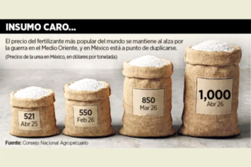 La Urea se Encarece un 82% en México por la Guerra y Factores Climáticos