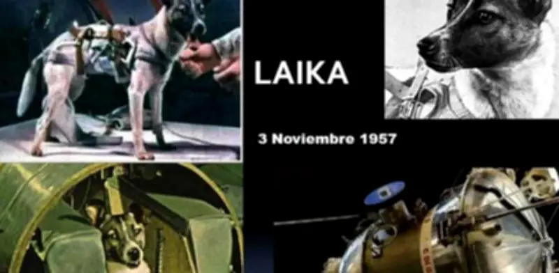 Laika, la perra cosmonauta: la verdadera historia de su trágico viaje sin retorno