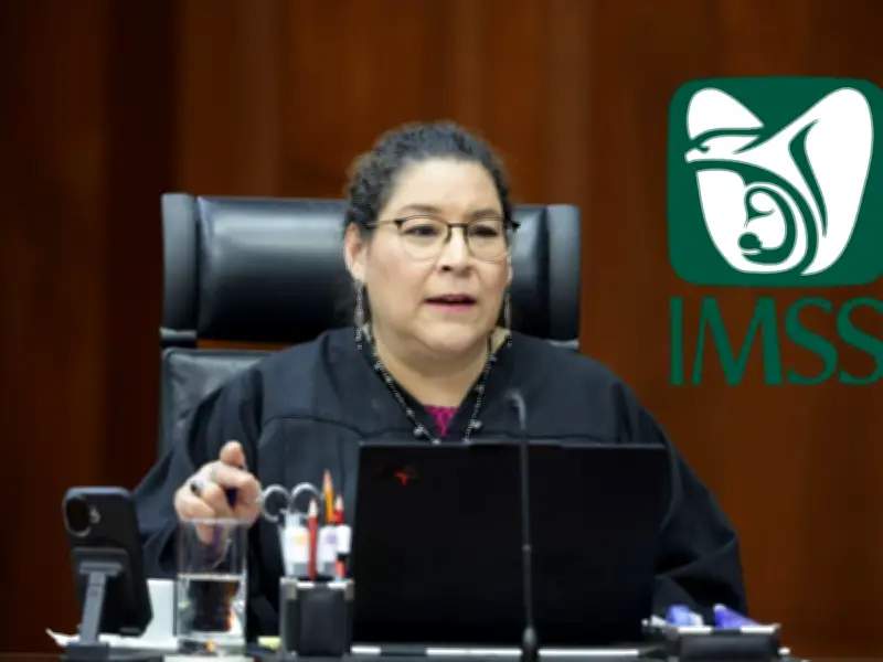 Lenia Batres recibe críticas por voto en contra en resolución del IMSS