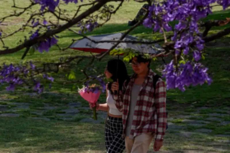 Lluvias y calor extremo: clima en México del 24 al 27 de abril