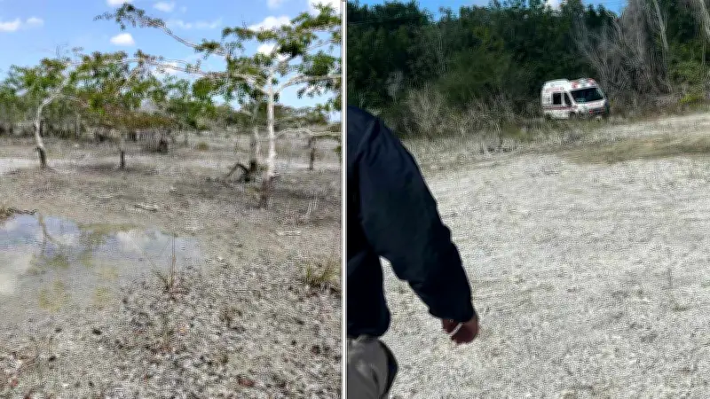 Madres Buscadoras hallan restos de cinco personas en fosa clandestina de Quintana Roo