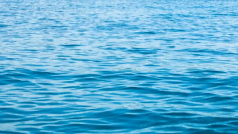 Mar de fondo y oleaje intenso azotarán el Pacífico mexicano este jueves 9 de abril