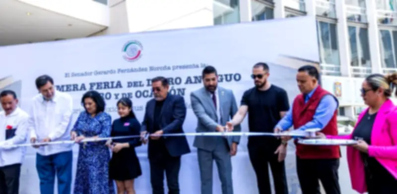 Marcos Cojab lleva arte crítico al Senado mexicano