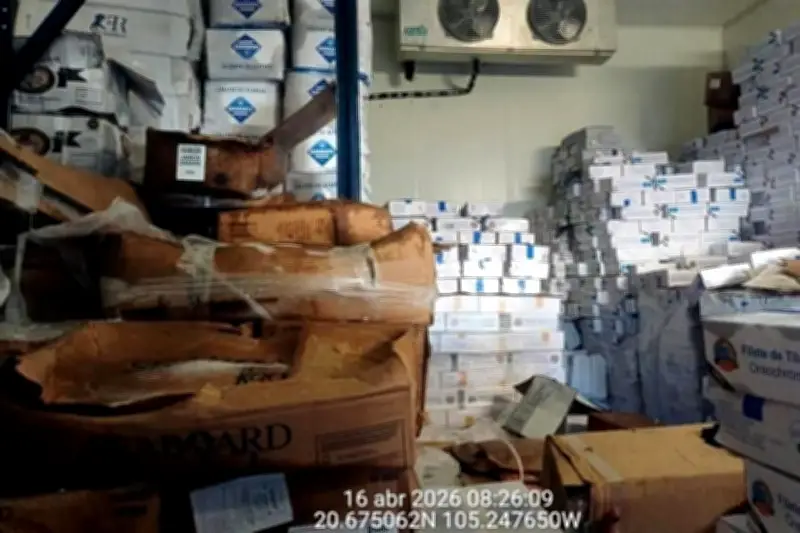 Marina retiene 22 toneladas de producto pesquero en operativo en Puerto Vallarta