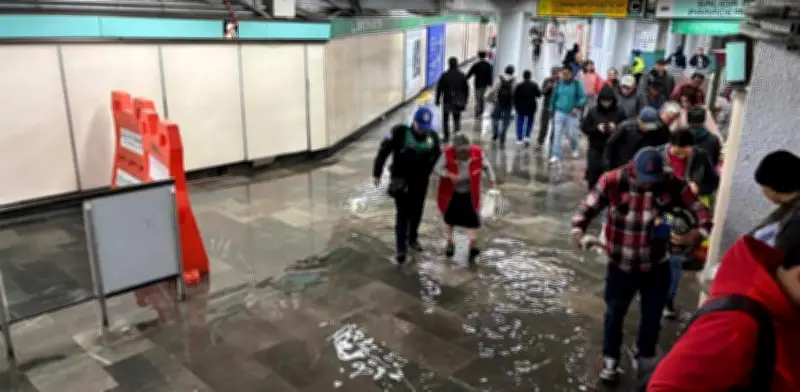 Metro CDMX licita obras de impermeabilización y desazolve ante temporada de lluvias