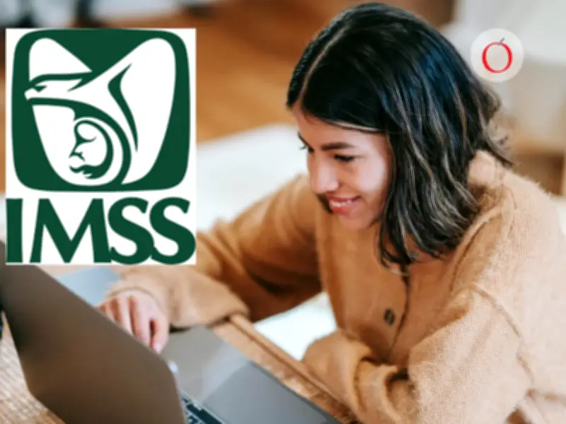 Modalidad 10 del IMSS: Guía completa para trabajadores independientes en 2026