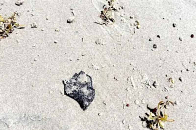 México afirma no tener quejas de EU por derrame de chapopote en Texas