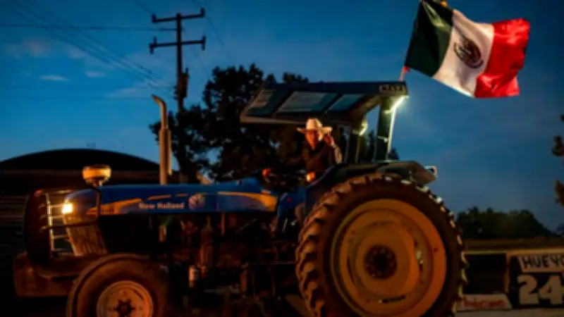 México implementa certificado laboral para proteger exportaciones agrícolas del T-MEC