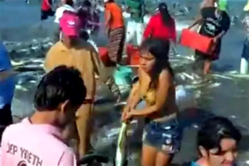 Nahle presume récord de pesca en Veracruz pese a derrame petrolero