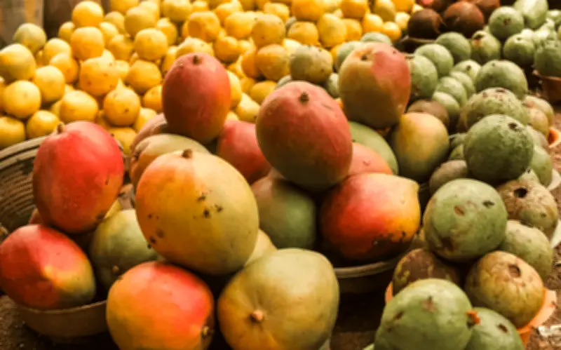 Oaxaca: 99 lotes de mango infestados con larvas amenazan exportaciones a EU