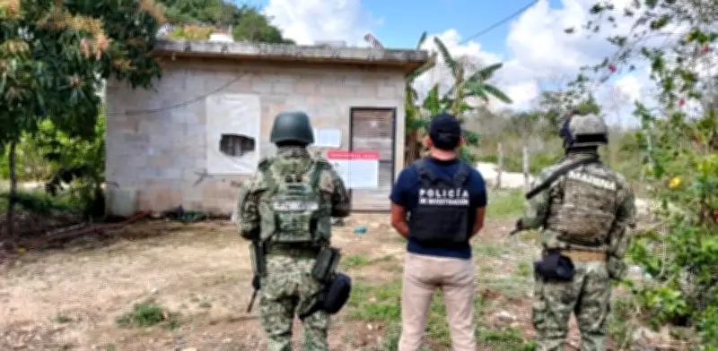 Operación Sable: Más de 100 detenidos y decomisos masivos en Quintana Roo y Yucatán