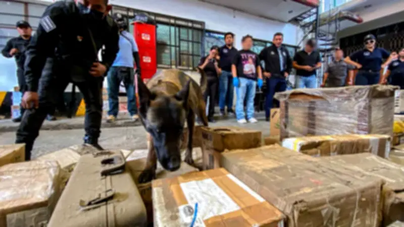 Operativo en Oaxaca descubre envío de drogas y armas mediante paqueterías en cinco regiones