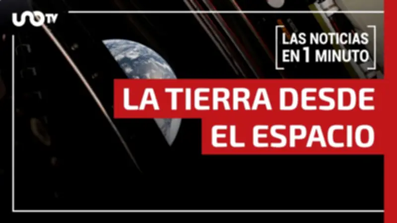 Operativo en Sonora: Aseguran Invernadero Ilegal de Marihuana con 221 Plantas