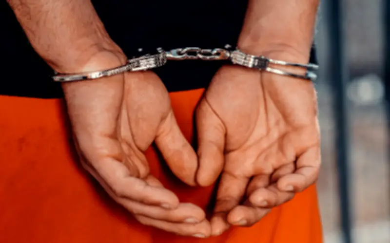 Operativo internacional contra explotación sexual infantil deja 326 detenidos