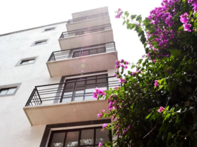 PAN propone tipificar el delito de 'monta-rentas' en CDMX para combatir fraudes inmobiliarios