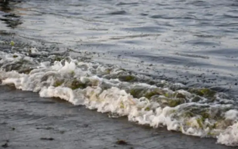 Pemex admite fuga en ducto de Cantarell causó derrame en el Golfo de México