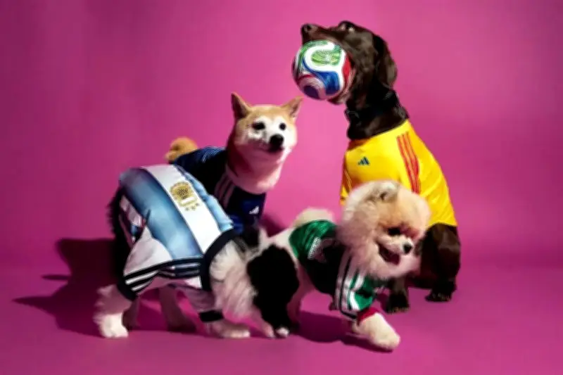 Perros lucirán playeras de selecciones en el Mundial 2026