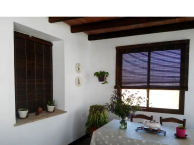 Persianas alicantinas: el invento del XIX que conquista Europa