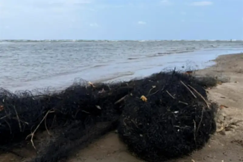 Pescadores Exigen Censo Integral para Todos Afectados por Derrame de Petróleo