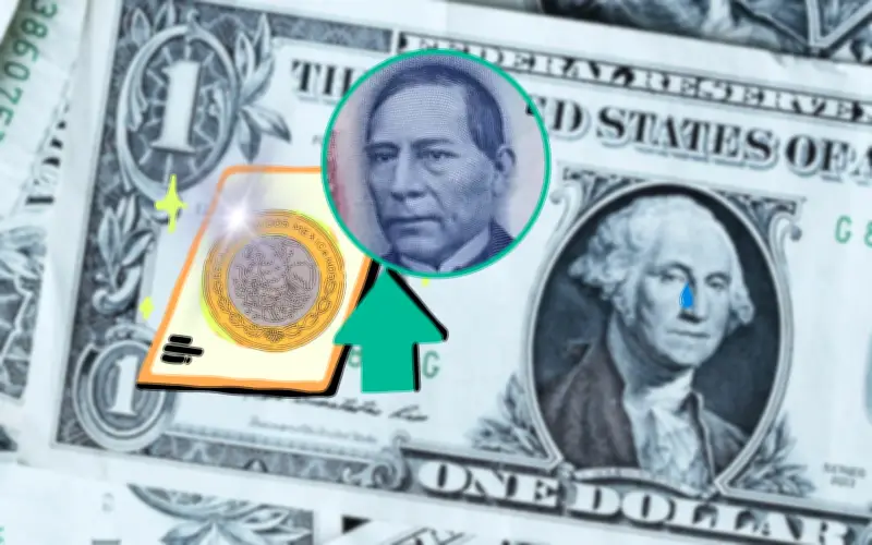 Peso mexicano se fortalece frente al dólar; revisa los precios de compra y venta este 9 de abril