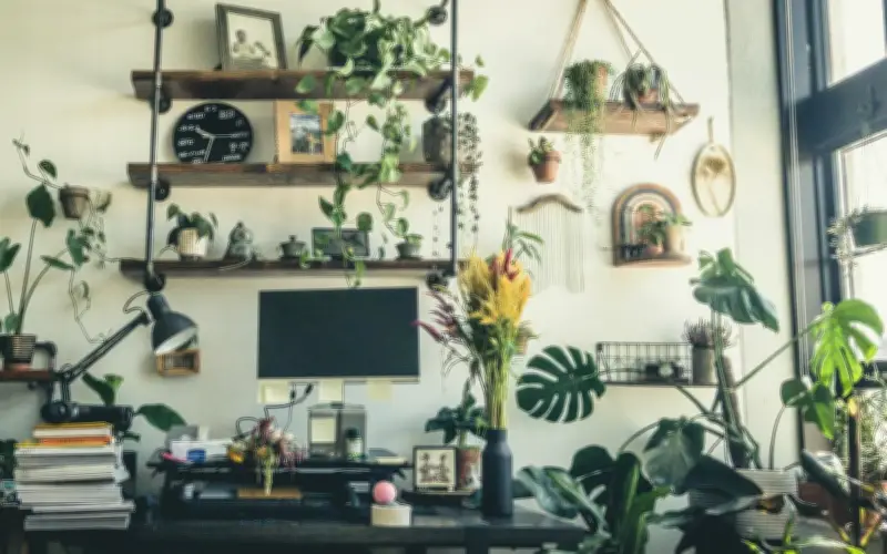 Plantas que combaten la humedad en casa: una solución natural para la salud respiratoria