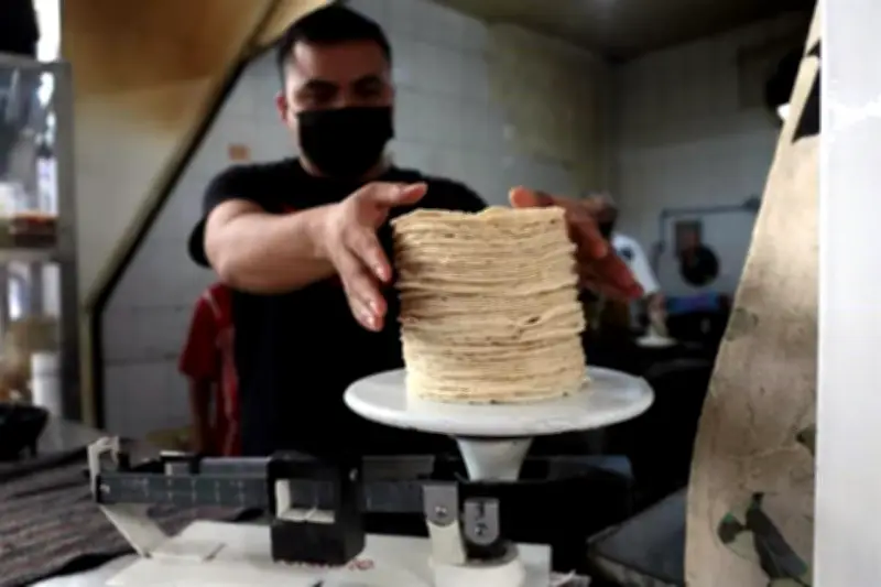 Precio de la tortilla: ni autorización ni imposición, aclara gobierno federal