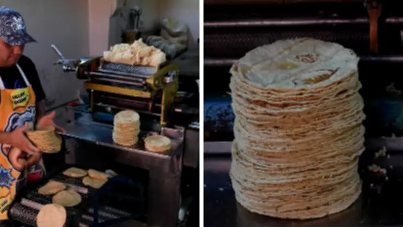 Precio de la tortilla se dispara 72.5% desde 2018: un golpe a la economía familiar