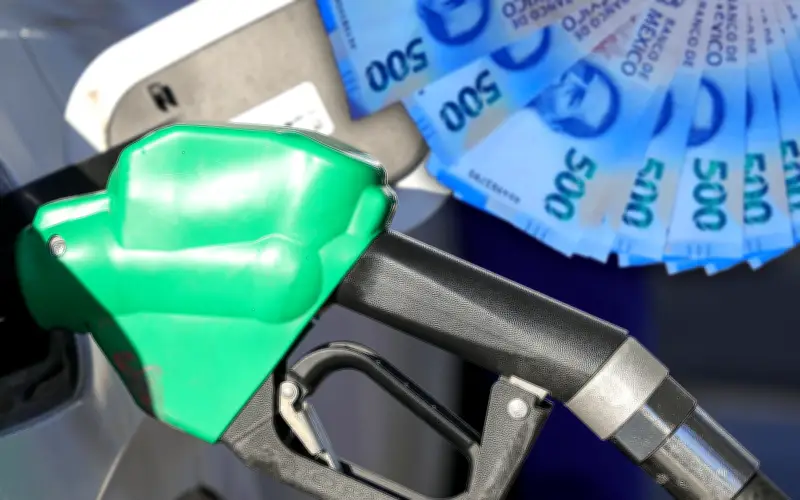 Precios de Combustible en Jalisco Hoy: Leves Ajustes con Estímulo Fiscal Vigente