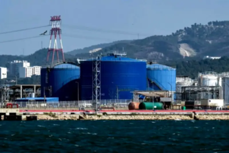 Precios del petróleo WTI se disparan más del 11% en un solo día