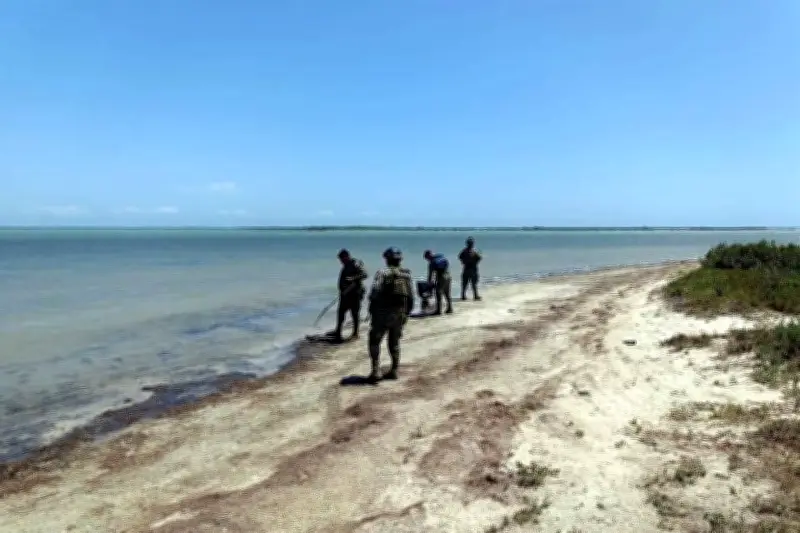 Primero hidrocarburos y ahora sargazo: amenaza ecológica llega a Tamaulipas