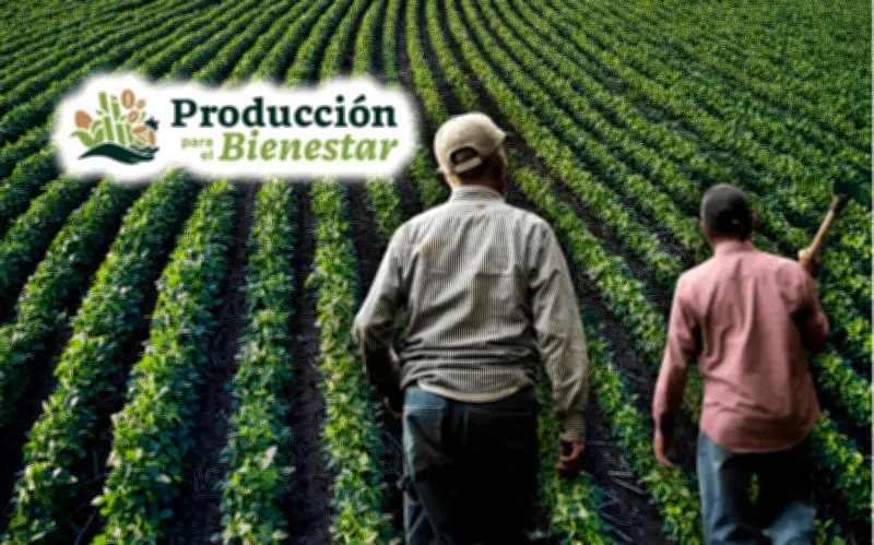 Producción para el Bienestar 2026: montos y fechas de pago