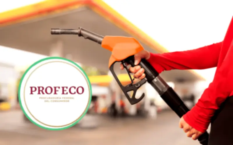 Profeco convoca a ciudadanos a enviar fotos de precios del diésel para vigilancia